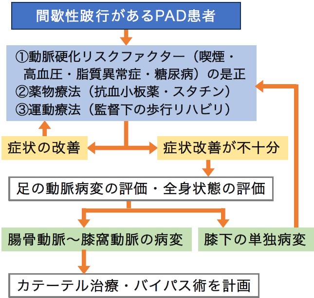 間歇性跛行の治療の流れ